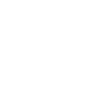 carriera icon
